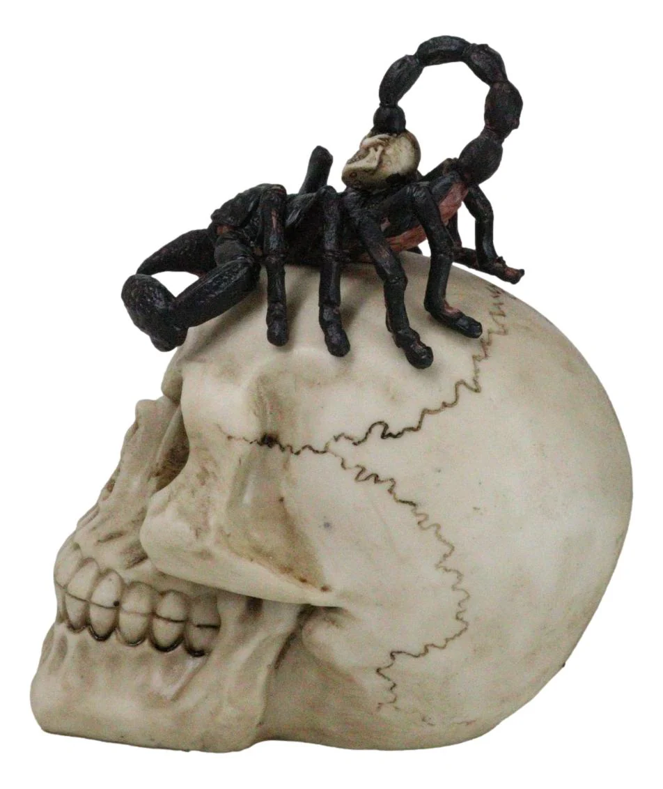 Halloween Macabre Gothic King Scorpion Demoniac On Skull Figurine - Image 3