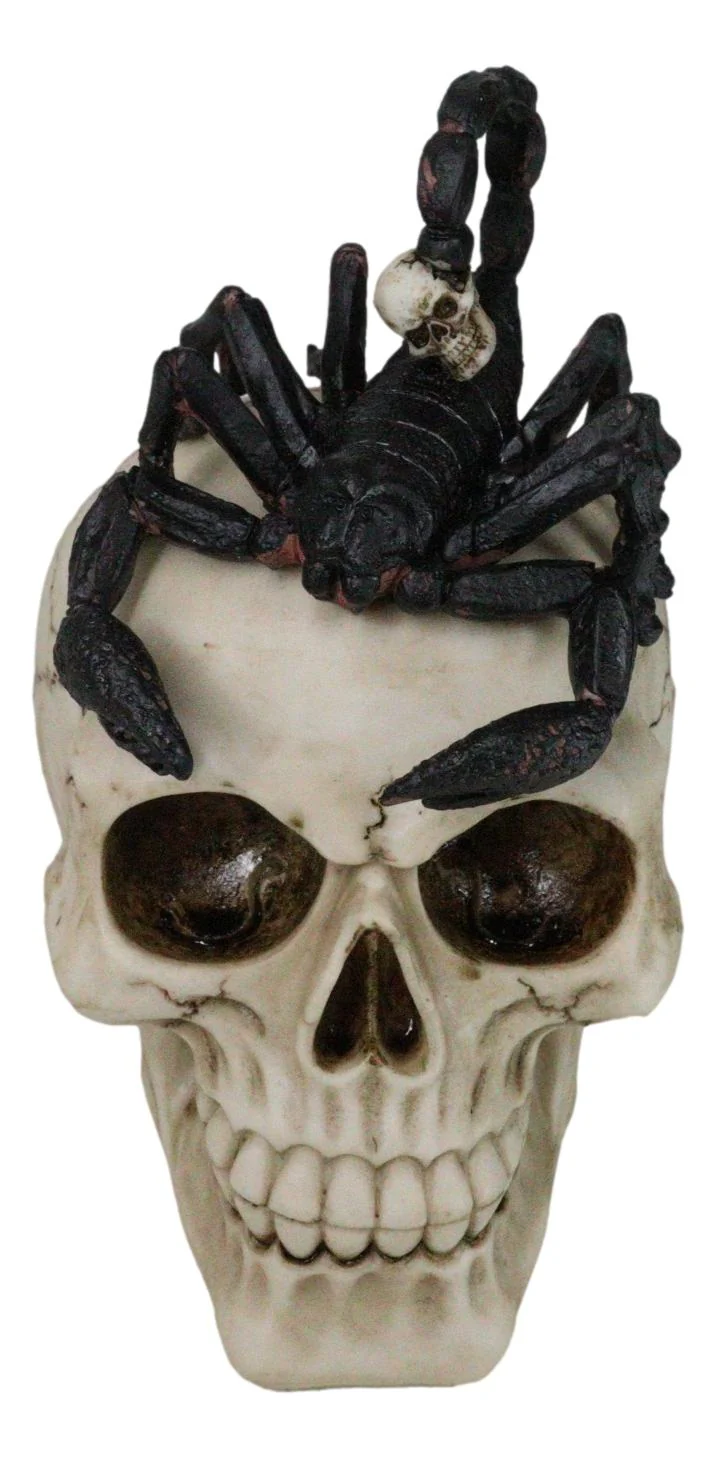 Halloween Macabre Gothic King Scorpion Demoniac On Skull Figurine - Image 4
