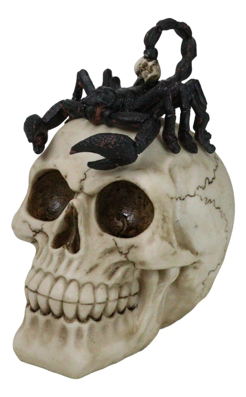 Halloween Macabre Gothic King Scorpion Demoniac On Skull Figurine - Image 5