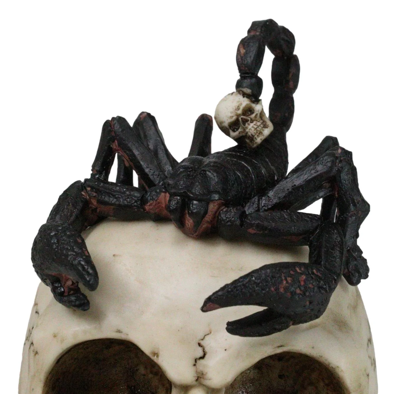 Halloween Macabre Gothic King Scorpion Demoniac On Skull Figurine - Image 7
