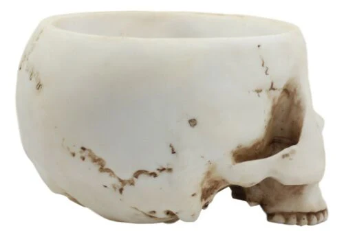 Halloween Skeleton Half Skull Bowl Treat Holder Figurine Homosapien Skull Statue - Image 3