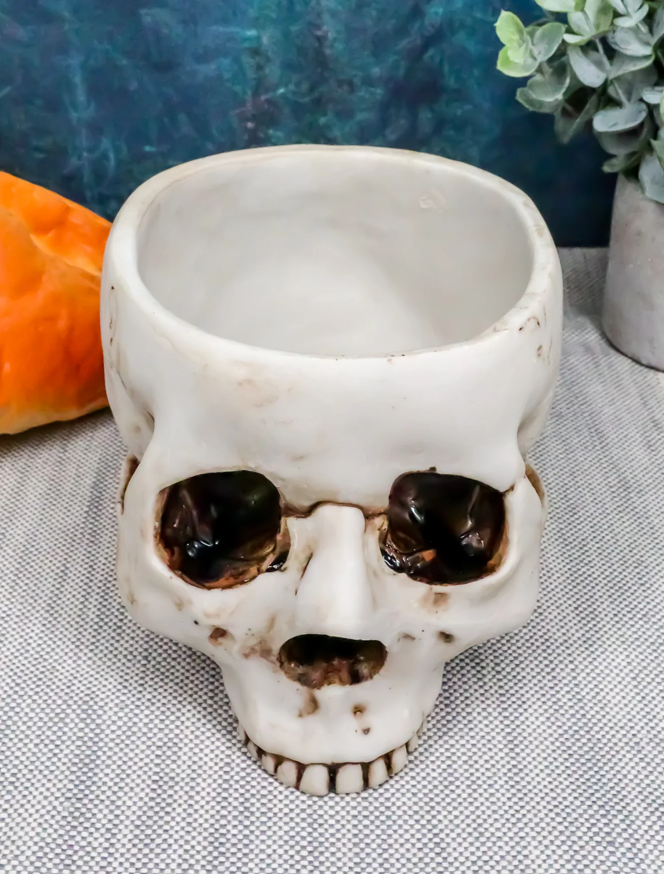 Halloween Skeleton Half Skull Bowl Treat Holder Figurine Homosapien Skull Statue - Image 7