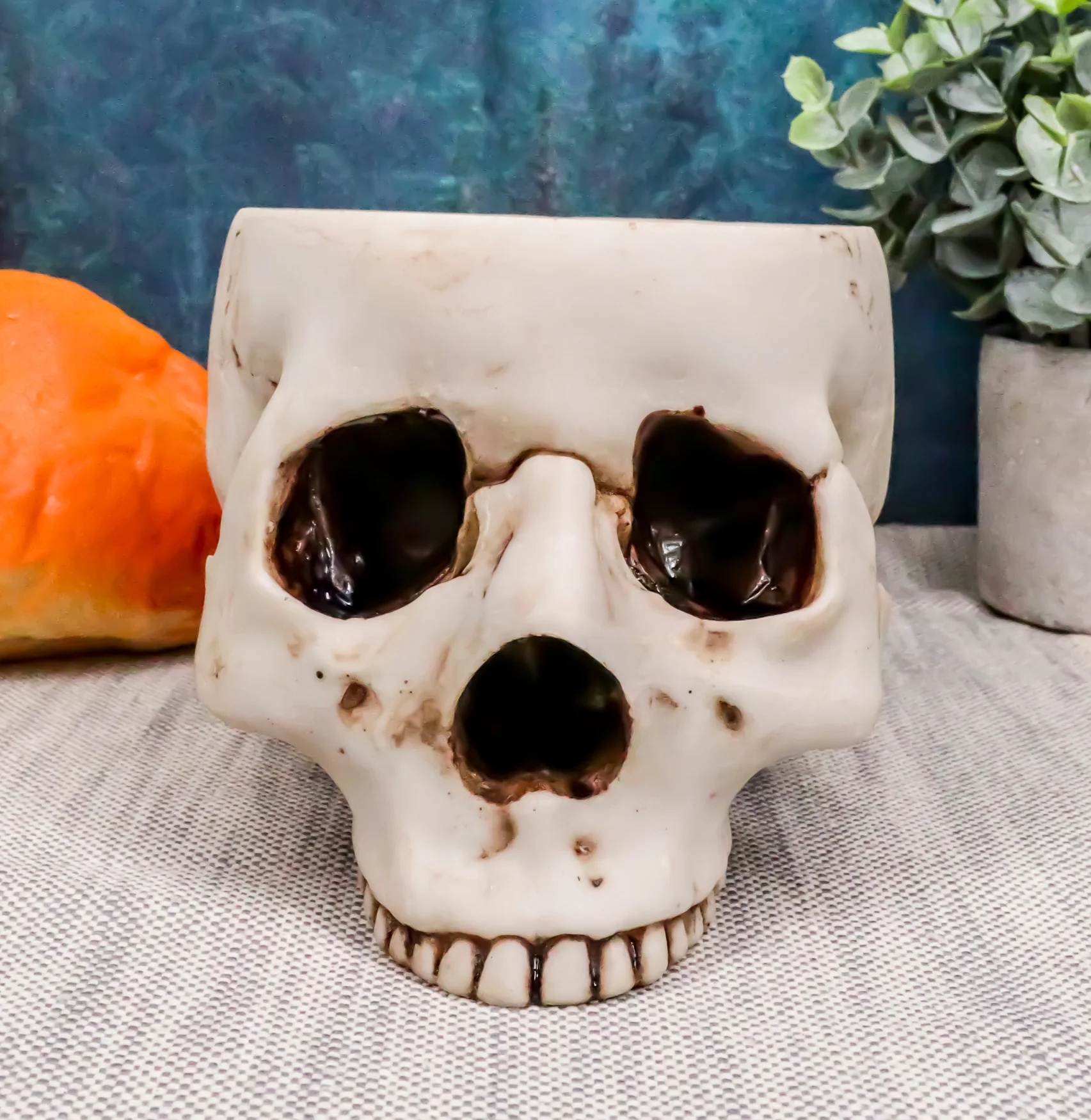 Halloween Skeleton Half Skull Bowl Treat Holder Figurine Homosapien Skull Statue - Image 8