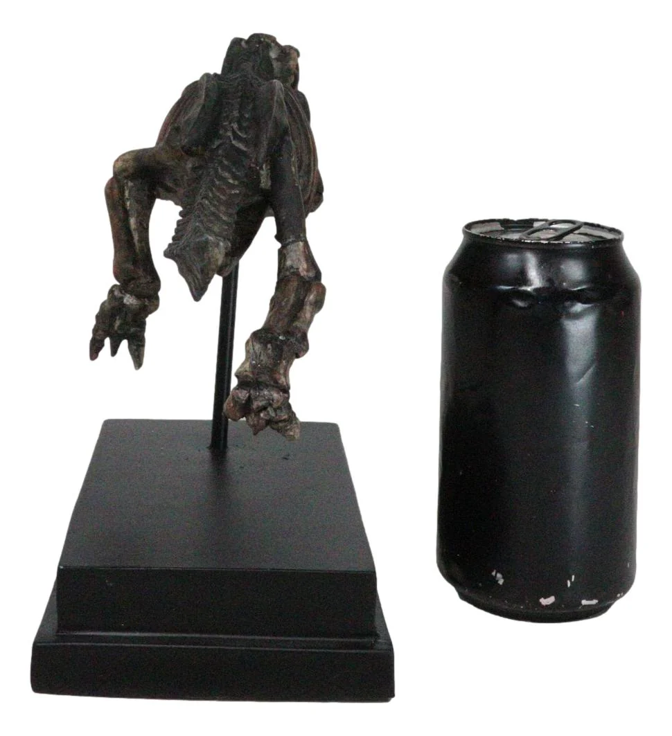 Jurassic T-Rex Tyrannosaurus Rex Dinosaur Fossil Skeleton Statue On Base Stand - Image 7
