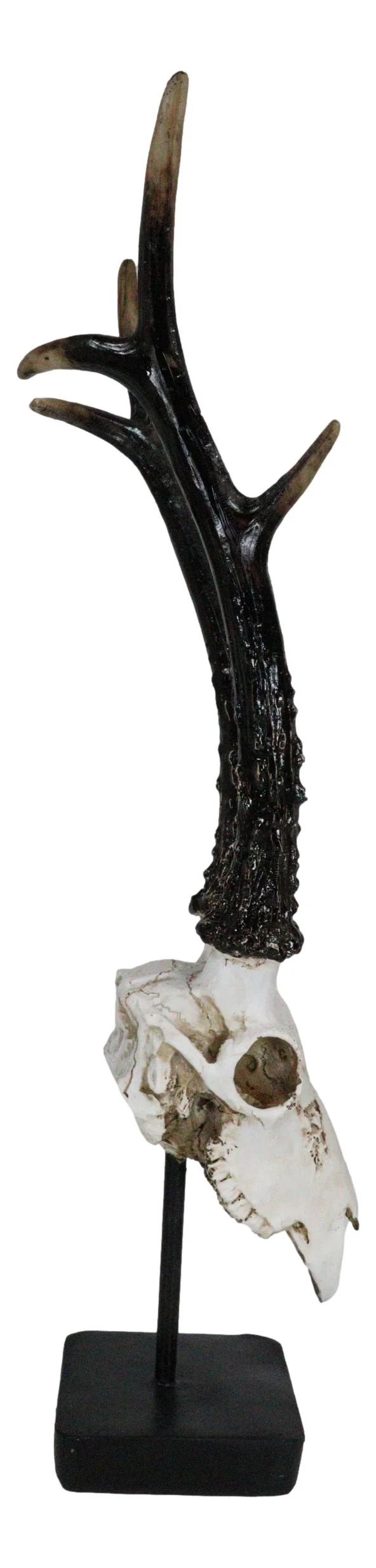 Large 19"H Rustic African Gazelle Antelope Bust Head Sculpture With Trophy Base - Image 9