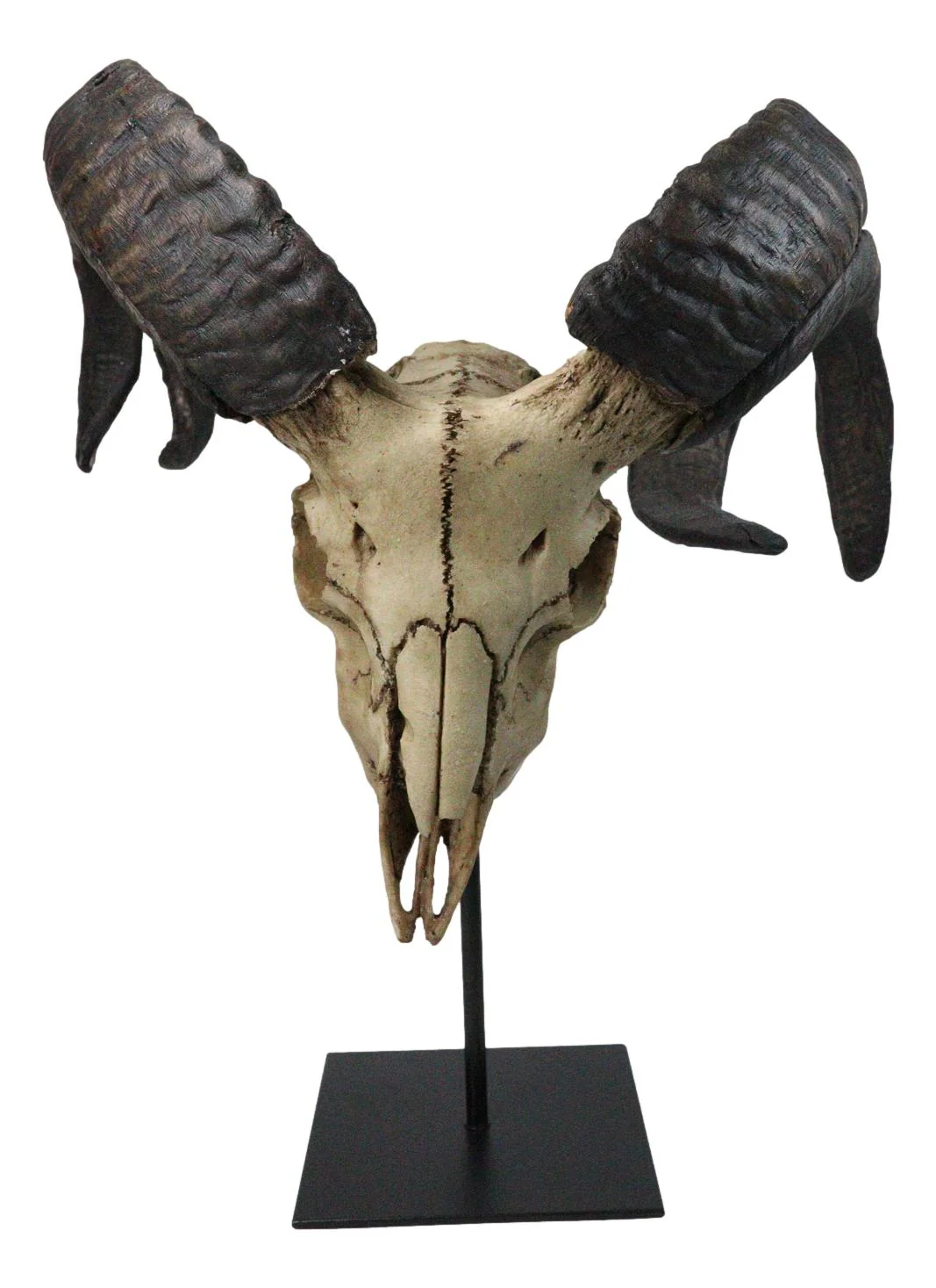 Large Alien Mutated Quad Horns Ram Skull Head Sculpture On Museum Stand 16.25"H - Image 2