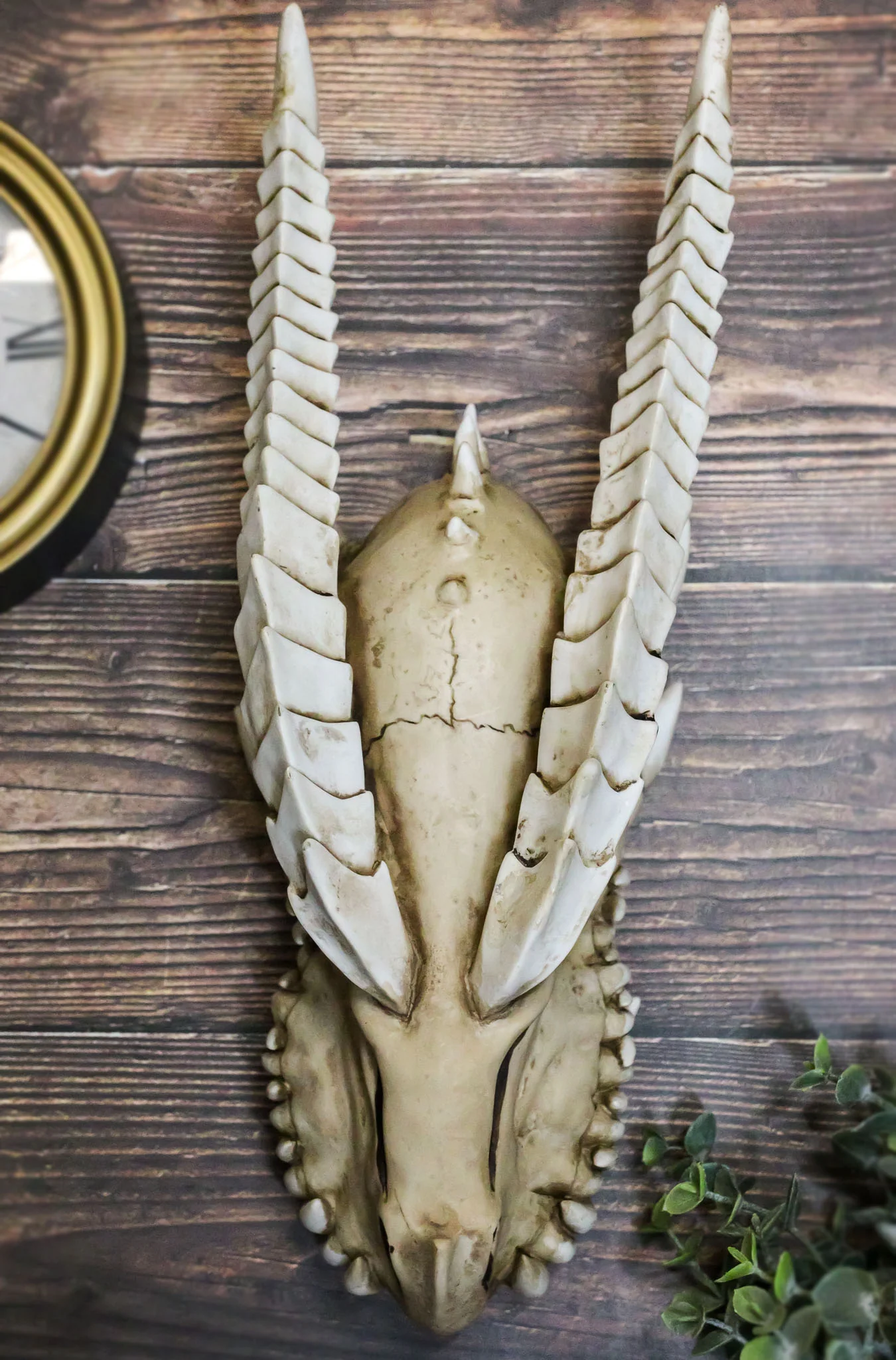Large Dragon Fossil Skull Statue 14.5"L Archaeology Dragon Skeleton Wall Decor - Image 9