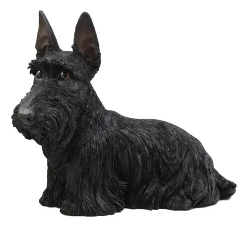 Large Lifelike Black Longhaired Scottish Highlands Terrier Statue Scottie Decor - Image 3