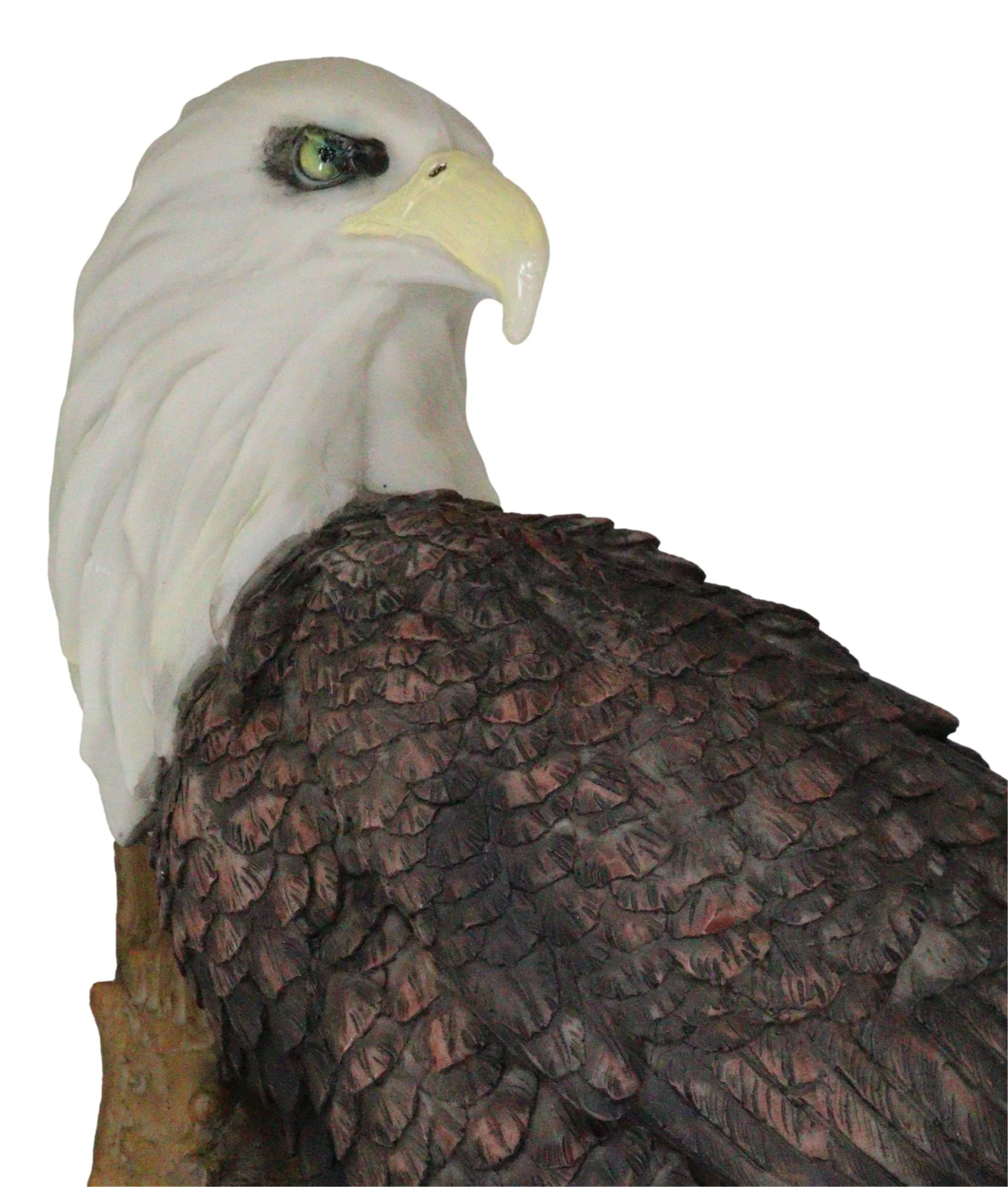 Large Mountain Grand Bald Eagle Perching On Tree Branch Wall Decor Plaque 17.5"H - Image 6