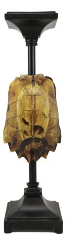 Large Nautical Reptile Exotic Turtle Shell Pillar Candle Holder Statue 17"High - Image 4