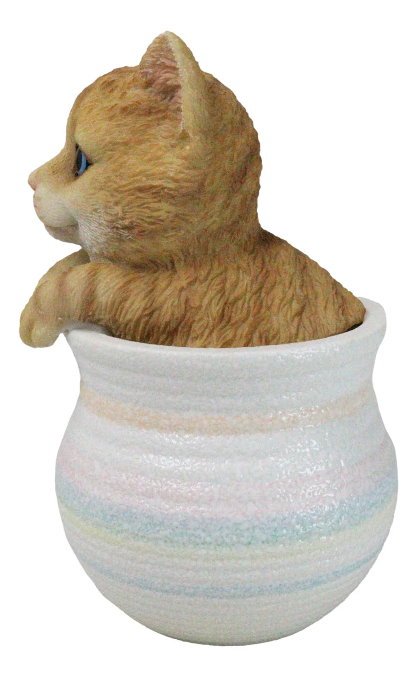 Lifelike Feline Kitty Orange Tabby Cat Blue Eyes In Pastel Artsy Pot Figurine - Image 5