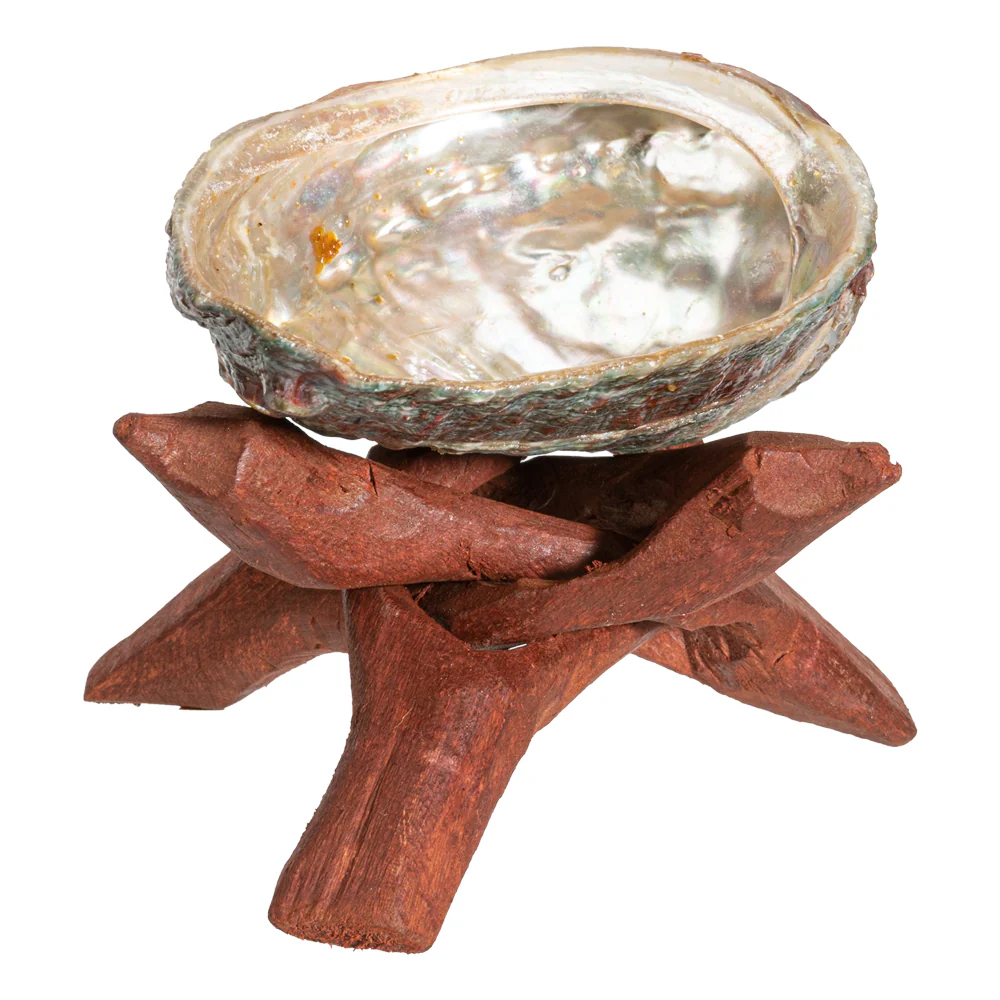 Marine Natural Abalone Shell On Accent Wood Tripod Stand Jewelry Incense Holder - Image 6