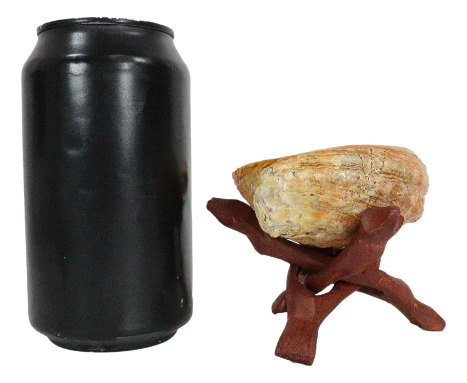 Marine Natural Abalone Shell On Accent Wood Tripod Stand Jewelry Incense Holder - Image 7