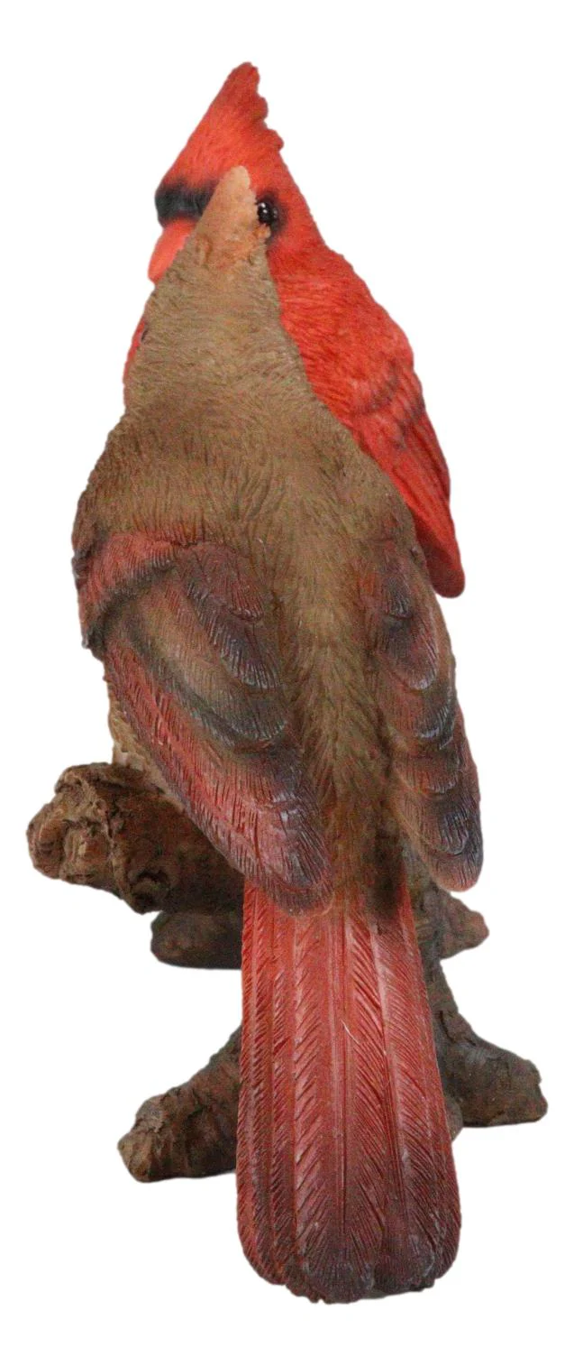 Northern Red And Brown Cardinal Male And Female Birds Couple On Branch Figurine - Image 5