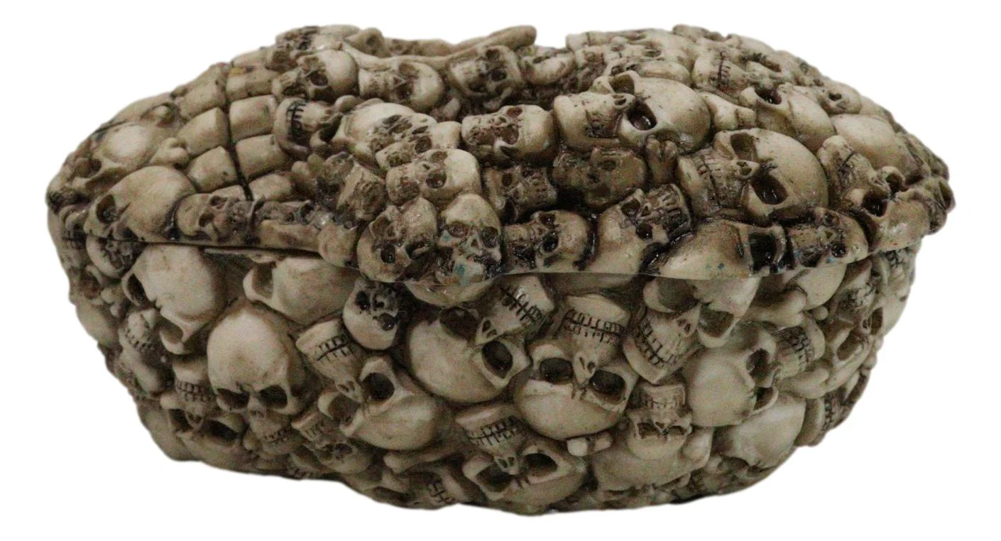 Ossuary Graveyard Skulls And Bones Ghoulish Skull Face Decorative Trinket Box - Image 5
