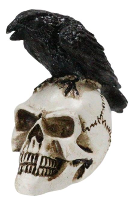 Ossuary Macabre Harbinger Of Doom Black Raven Crow Bird On Skull Mini Figurine - Image 5