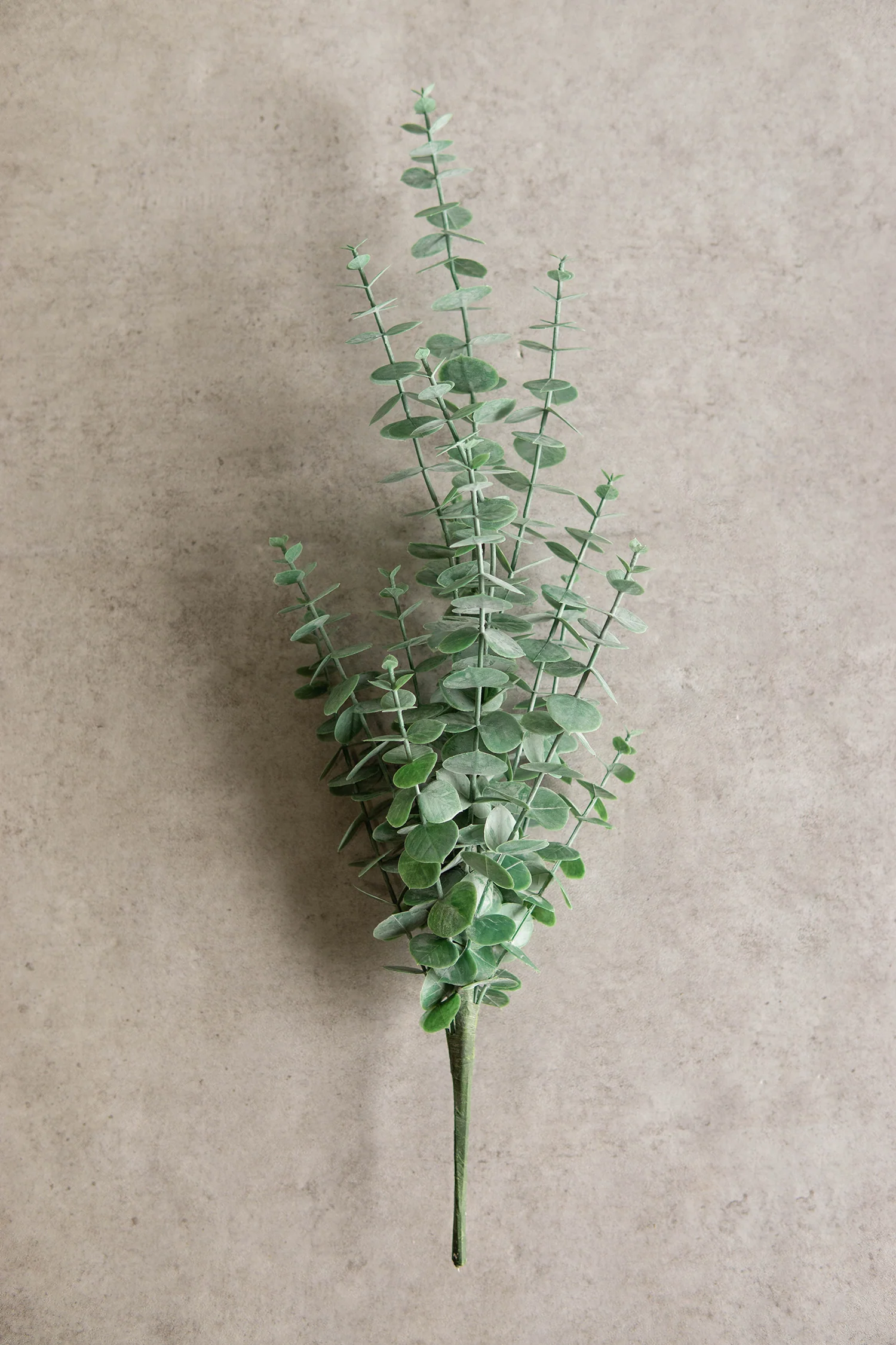 Pack Of 6 Large Realistic Lifelike Artificial Eucalyptus Stem Plant Botanicas - Image 7