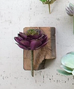 Pack Of 6 Realistic Lifelike Artificial Zwartkop Succulent Stem Botanicas - Image 5