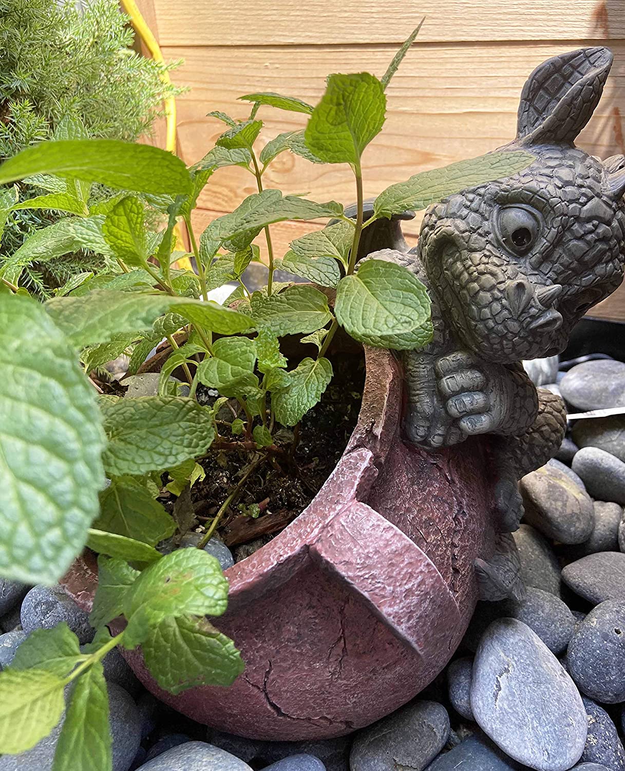 Pair Of Naughty Climbing Dragon Baby Planter Pot Home Patio Garden Statue 13"H - Image 7