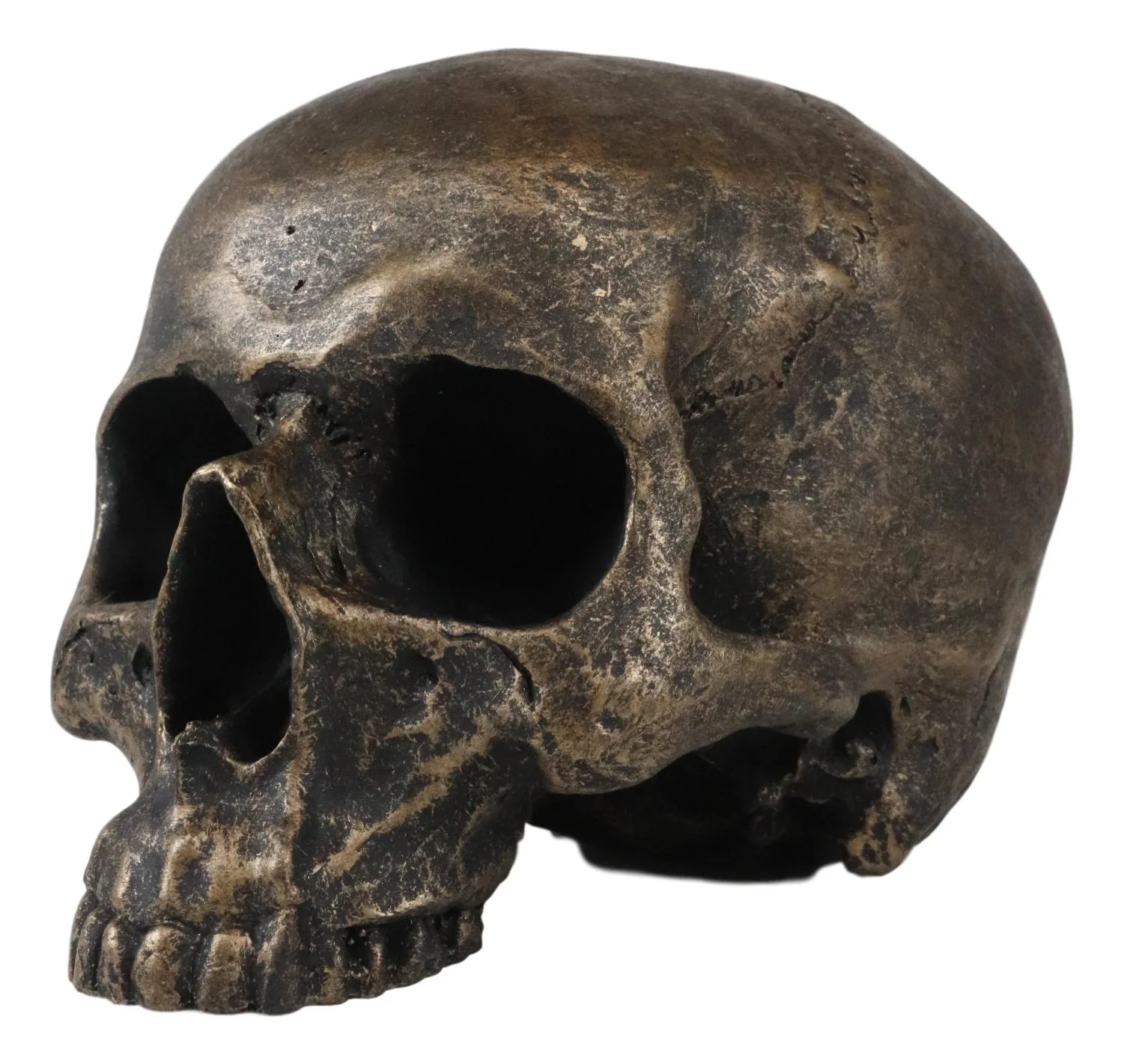 Ebros Pirate Treasure Relic Gold Rust Severed Upper Half Skull Figurine Statue - Image 2