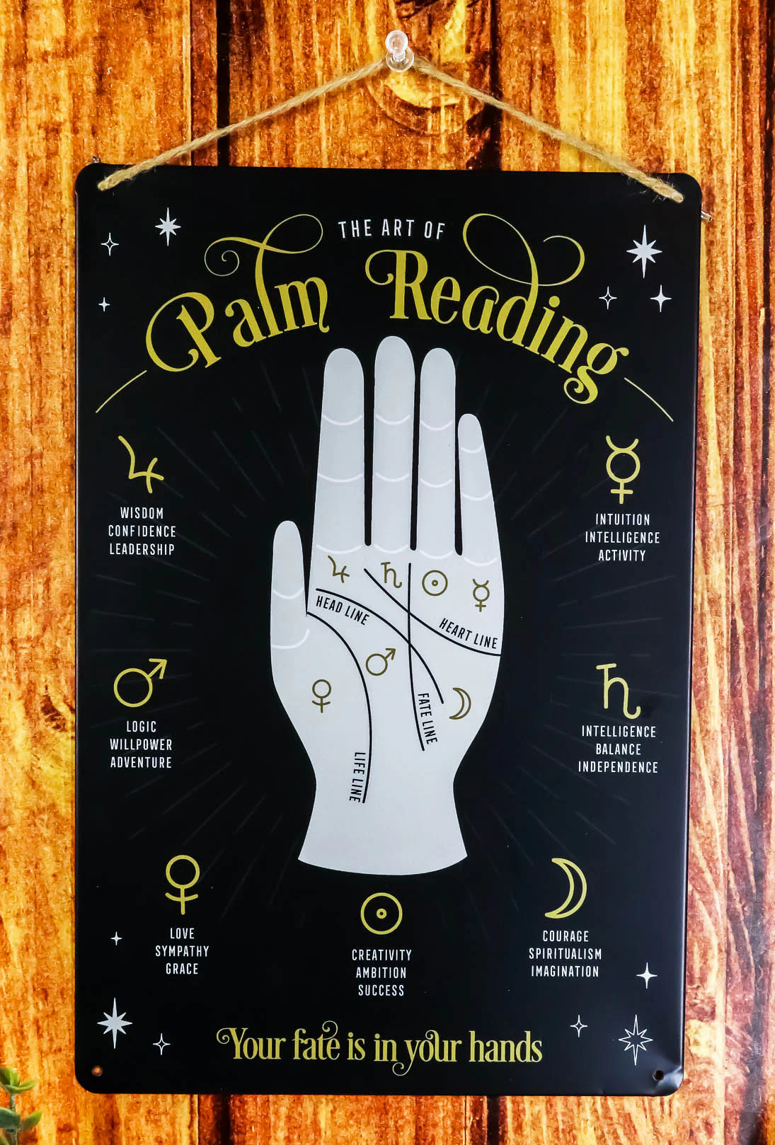 Psychic Fortune Teller Chirology Palmistry Palm Reading Metal Wall Sign Decor - Image 7