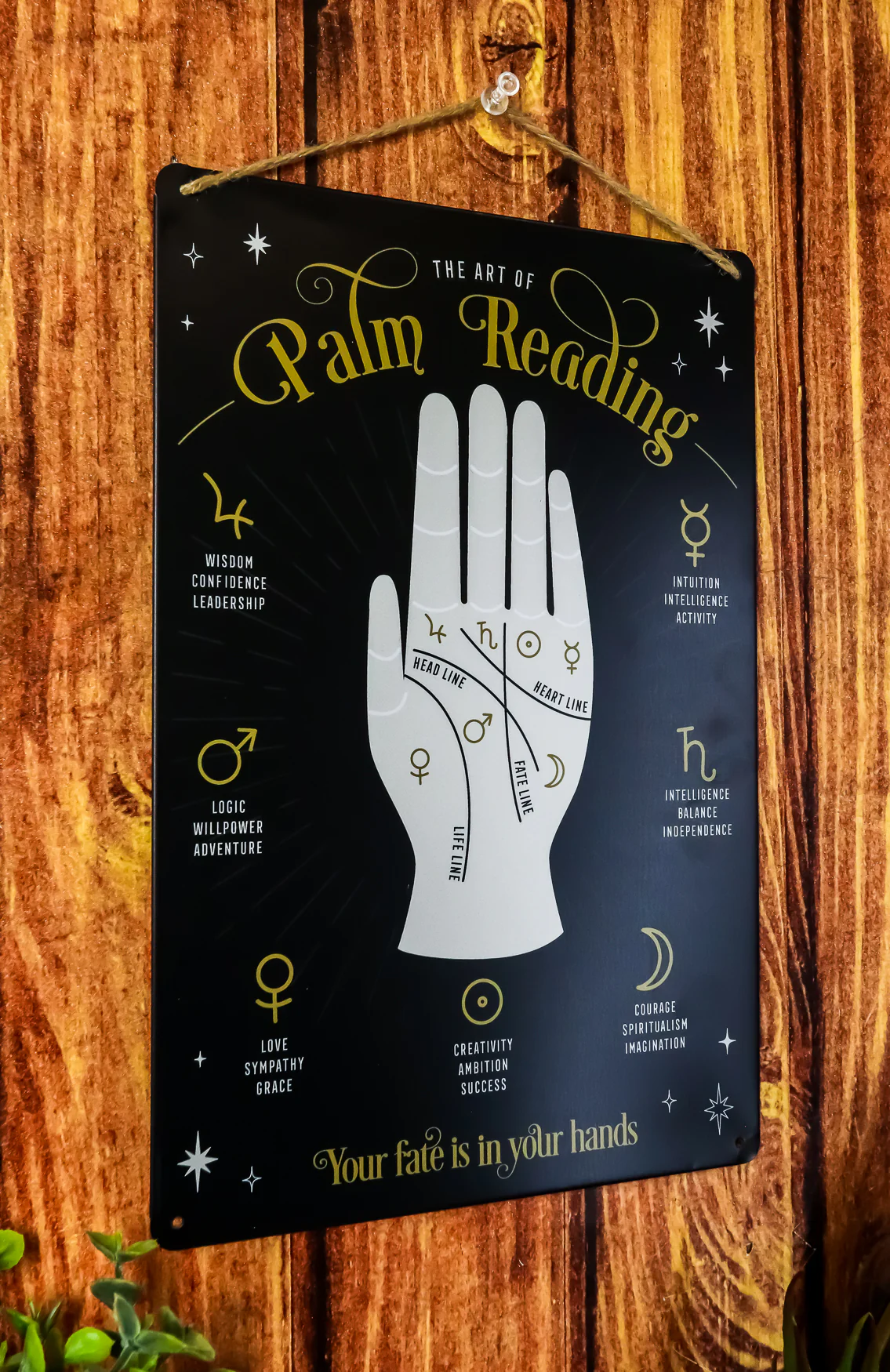 Psychic Fortune Teller Chirology Palmistry Palm Reading Metal Wall Sign Decor - Image 8
