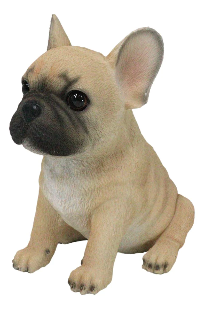 Realistic Adorable Fawn French Bulldog Puppy 6"H Cute Frenchie Dog Figurine - Image 3