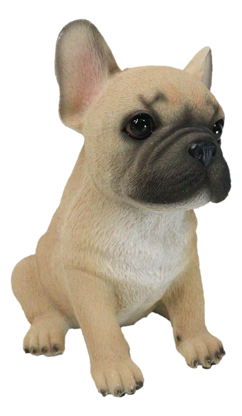 Realistic Adorable Fawn French Bulldog Puppy 6"H Cute Frenchie Dog Figurine - Image 4