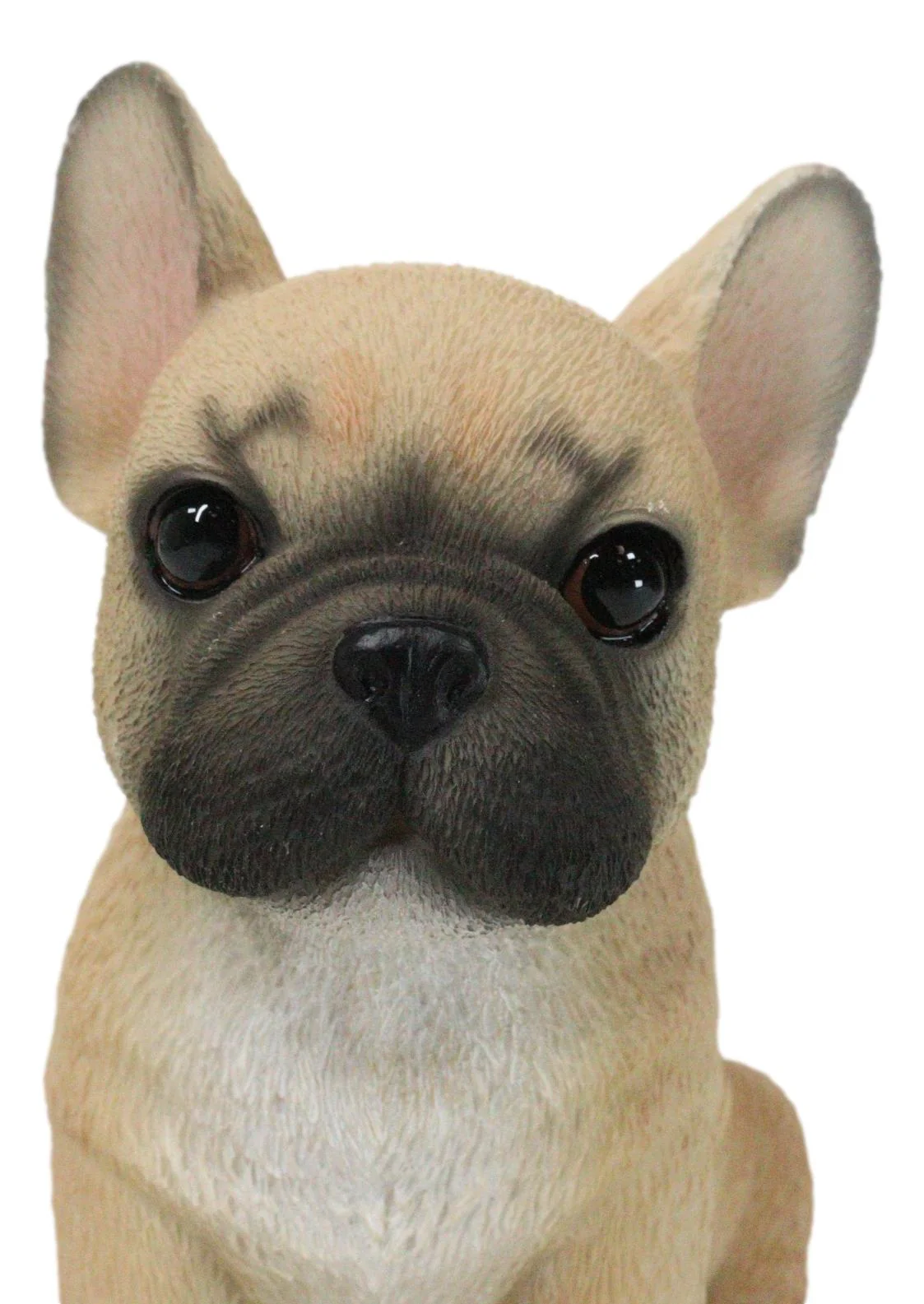 Realistic Adorable Fawn French Bulldog Puppy 6"H Cute Frenchie Dog Figurine - Image 5