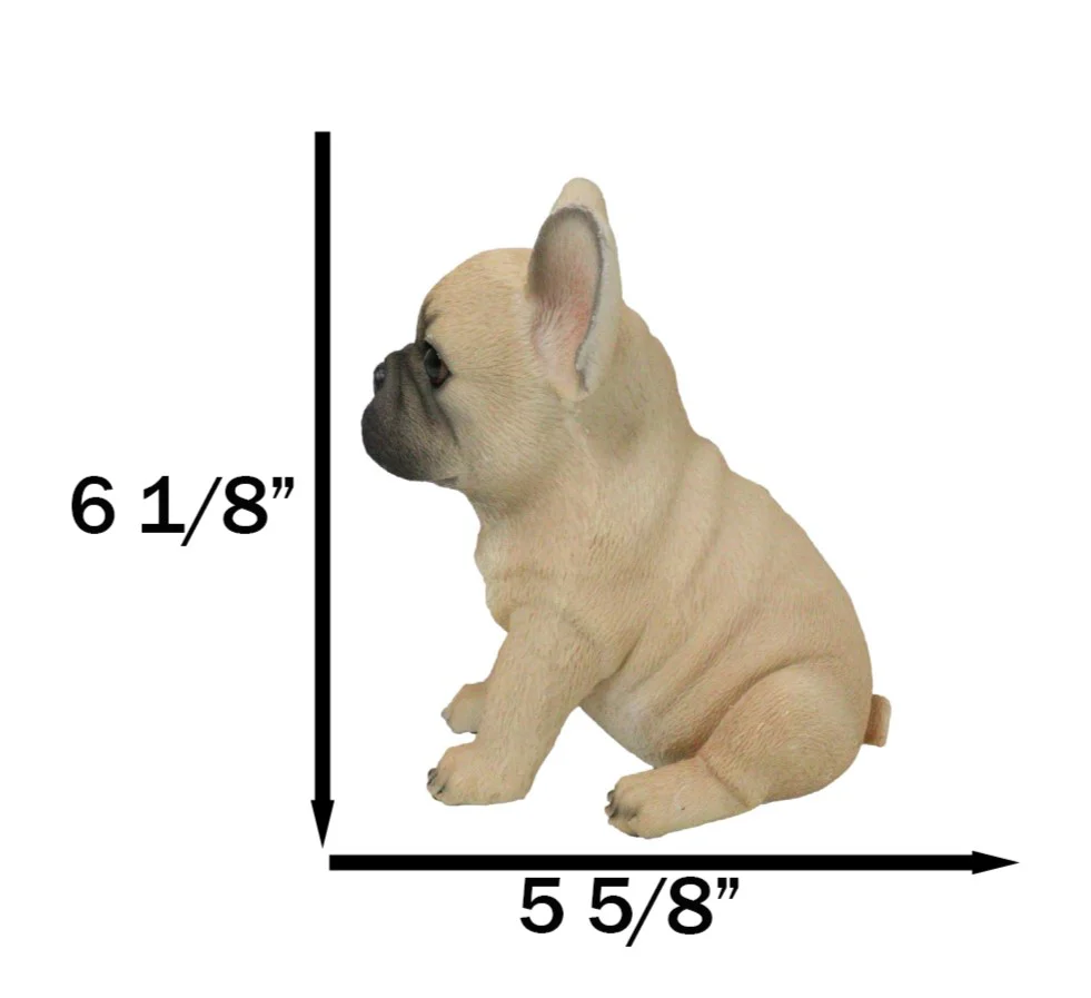 Realistic Adorable Fawn French Bulldog Puppy 6"H Cute Frenchie Dog Figurine - Image 6