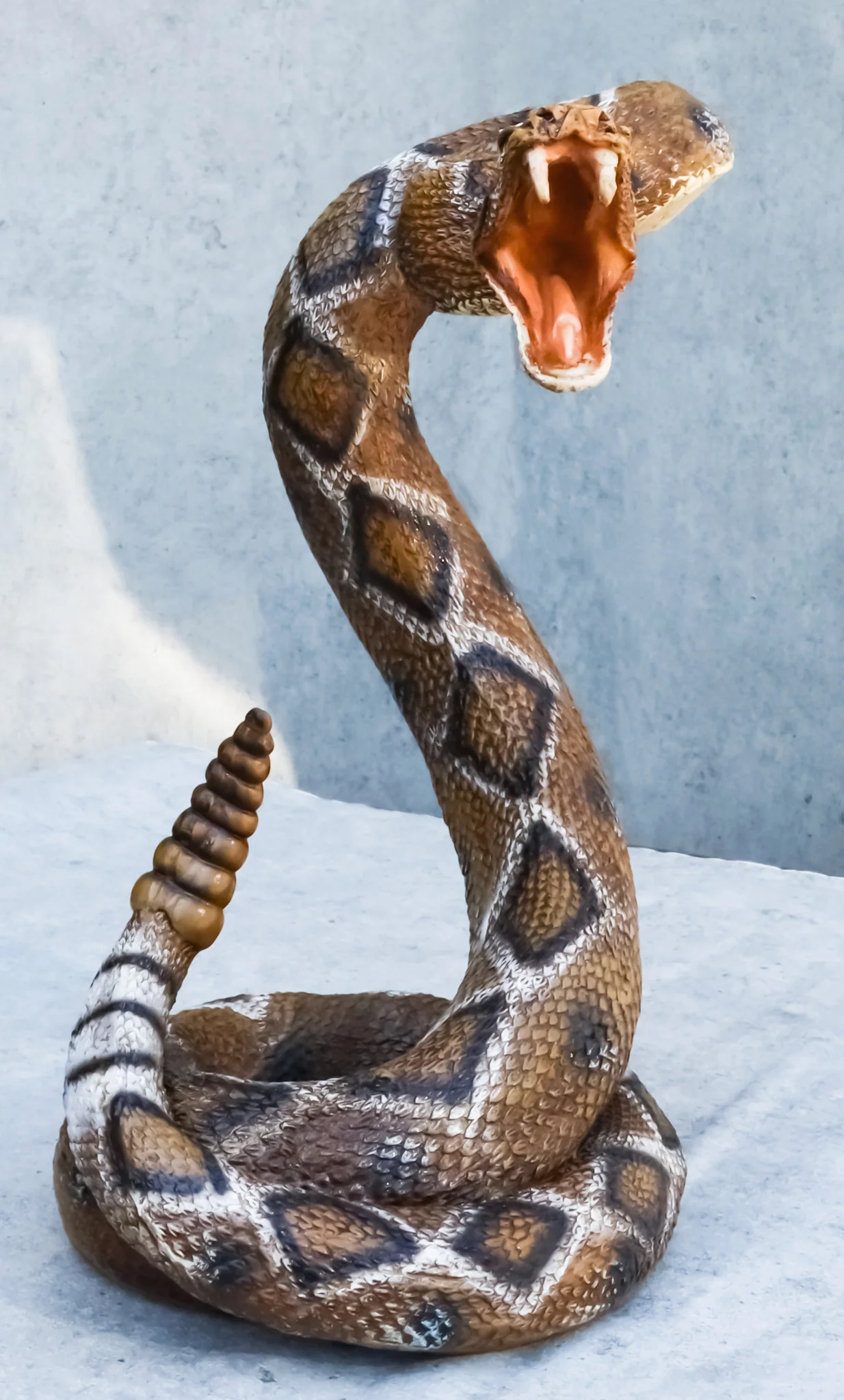 Realistic Attacking Coiled Diamondback Rattlesnake With Fangs Bared Figurine - Image 11