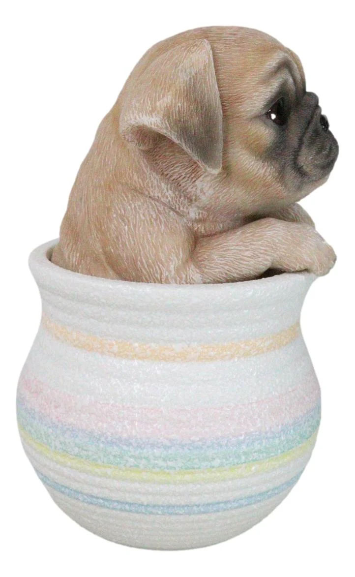 Realistic Puggy Pug Puppy Dog Figurine With Glass Eyes Pup In Pot Collection - Image 7