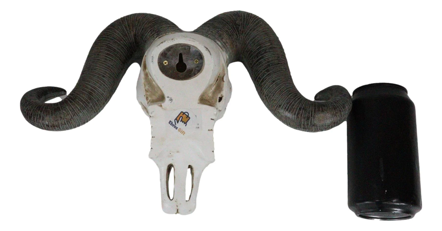 Rustic Majestic Texas Corsican Ram Skull With Horns Wall Decor Trophy 13"Wide - Image 5