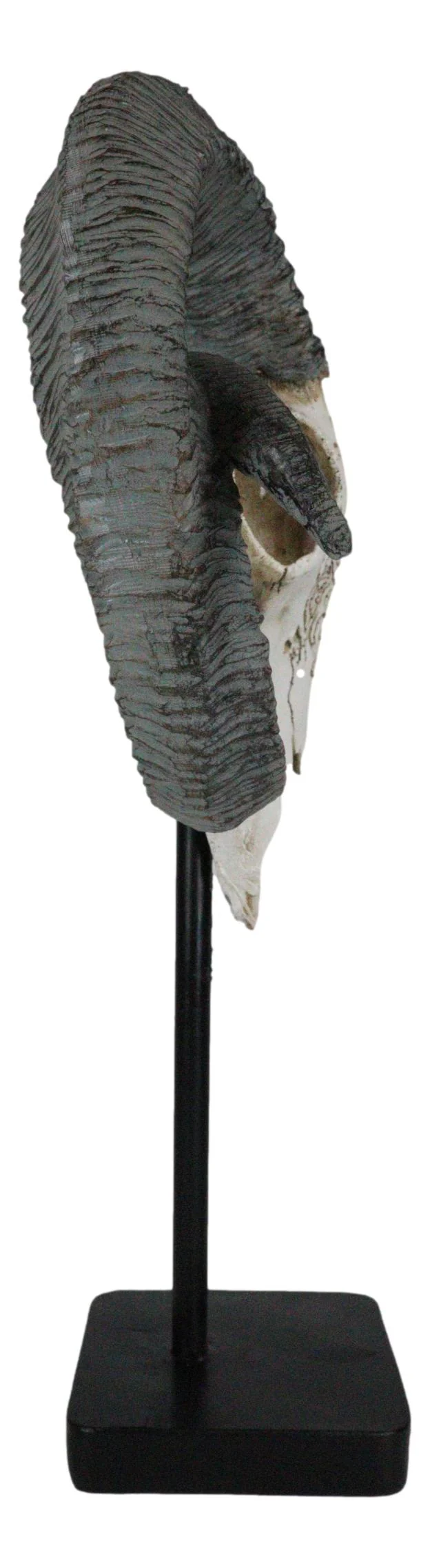 Rustic Tooled Floral Lace Dorset Horn Sheep Ram Skull Sculpture On Pole Display - Image 6