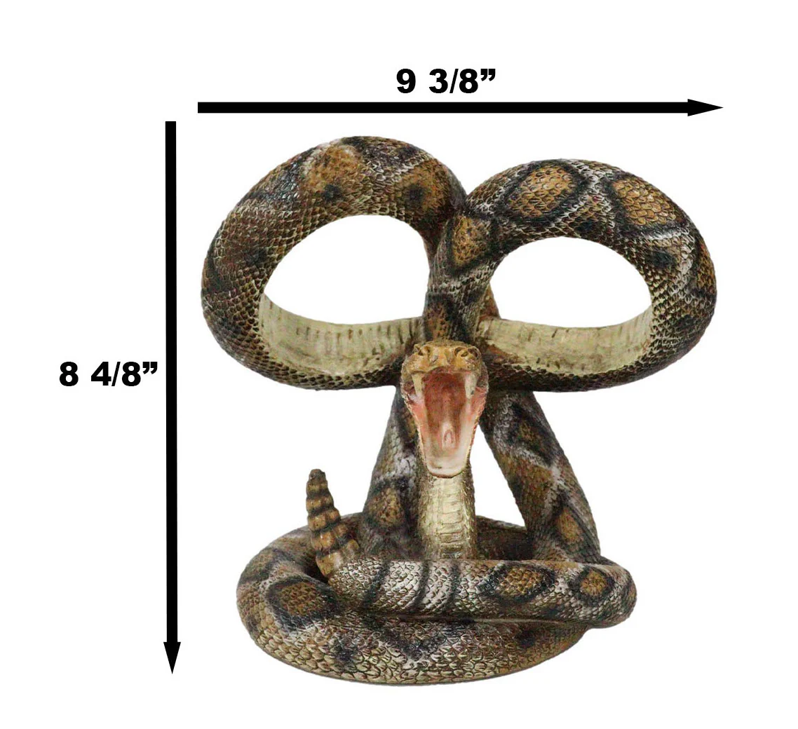 Rustic Western Coiled Diamondback Rattlesnake Snake Double Wine Bottles Holder - Image 2