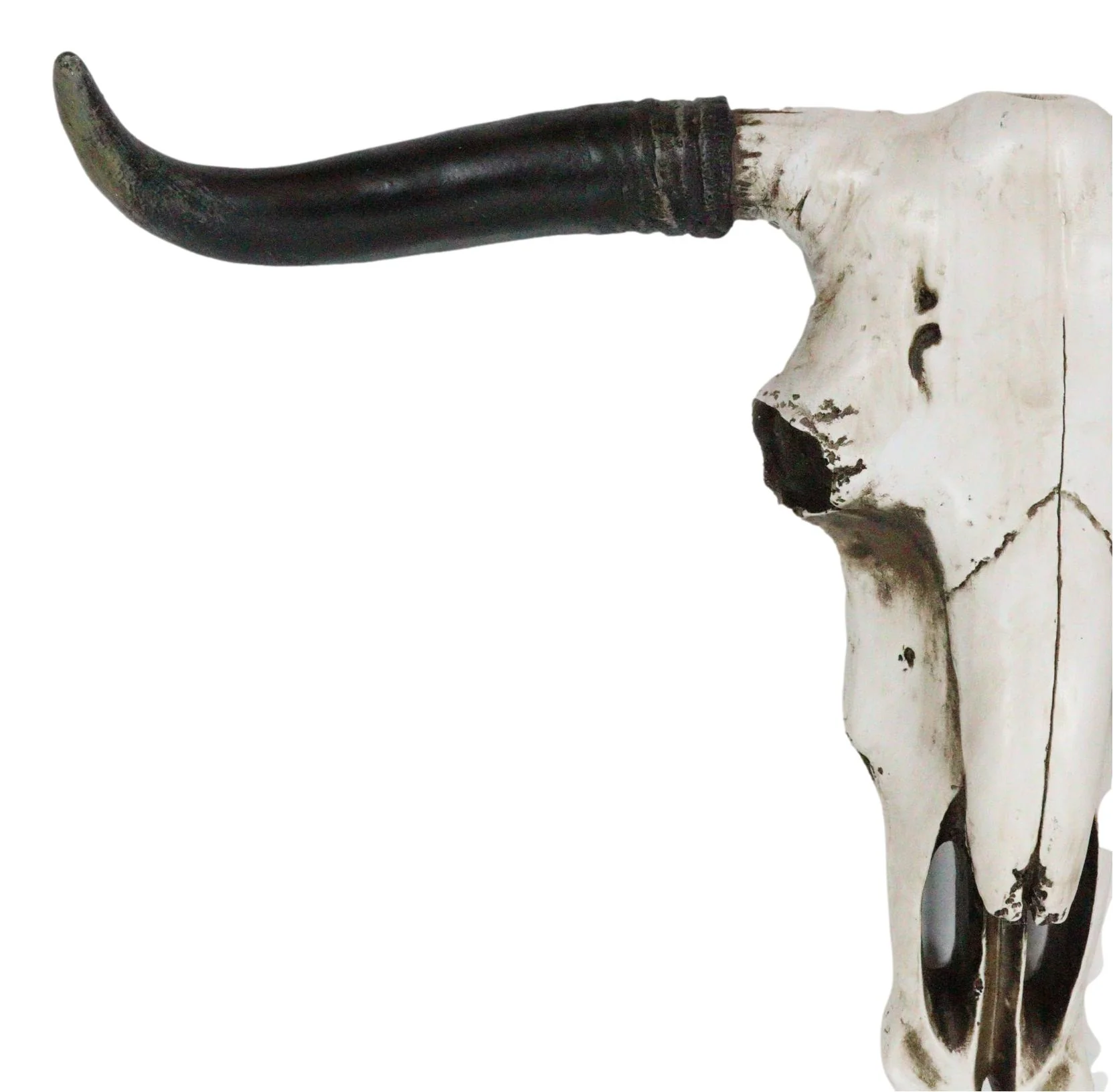 Rustic Western Longhorn Bull Cow Steer Head Skull Wall Decor Plaque 20.5"L - Image 6