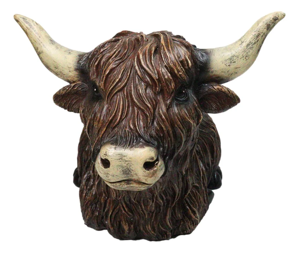 Rustic Western Scottish Highlands Cattle Cow Wine Holder Container Pot Holder 9" - Image 7