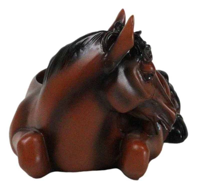 Rustic Western Brown Chestnut Horse Coaster Holder with Horseshoe Coasters Set - Image 3