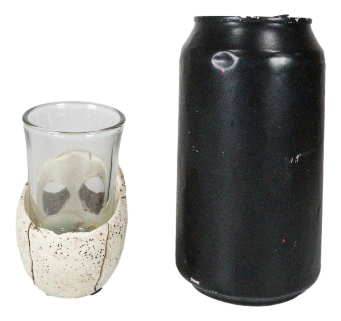 Set Of 4 Gothic Graveyard Macabre Grinning Evil Skull Shot Glass Holder Figurine - Image 7