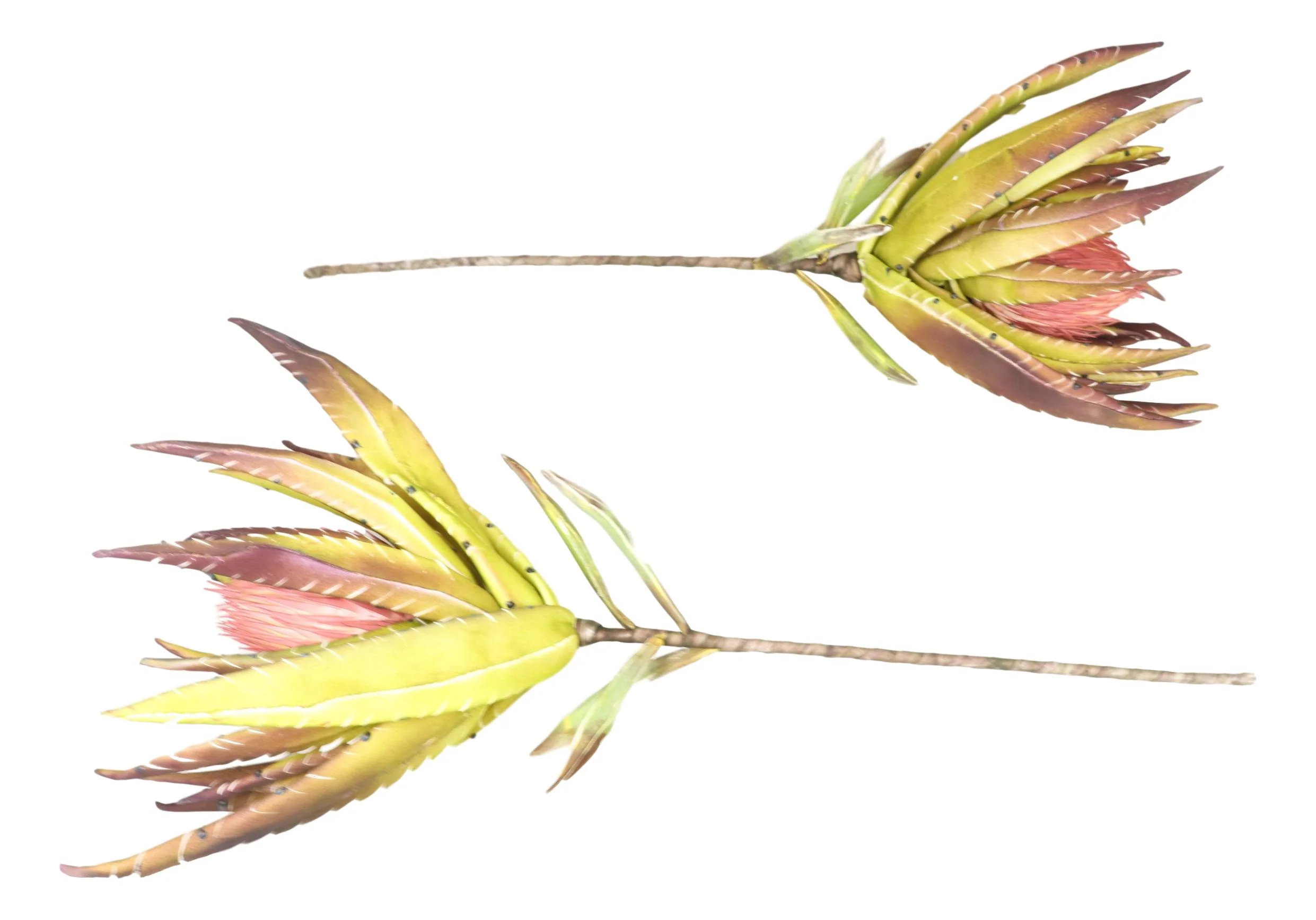 Set of 6 Realistic Artificial Botanica Faux Plants Thistle Fern Grass Leaf Stems - Image 4