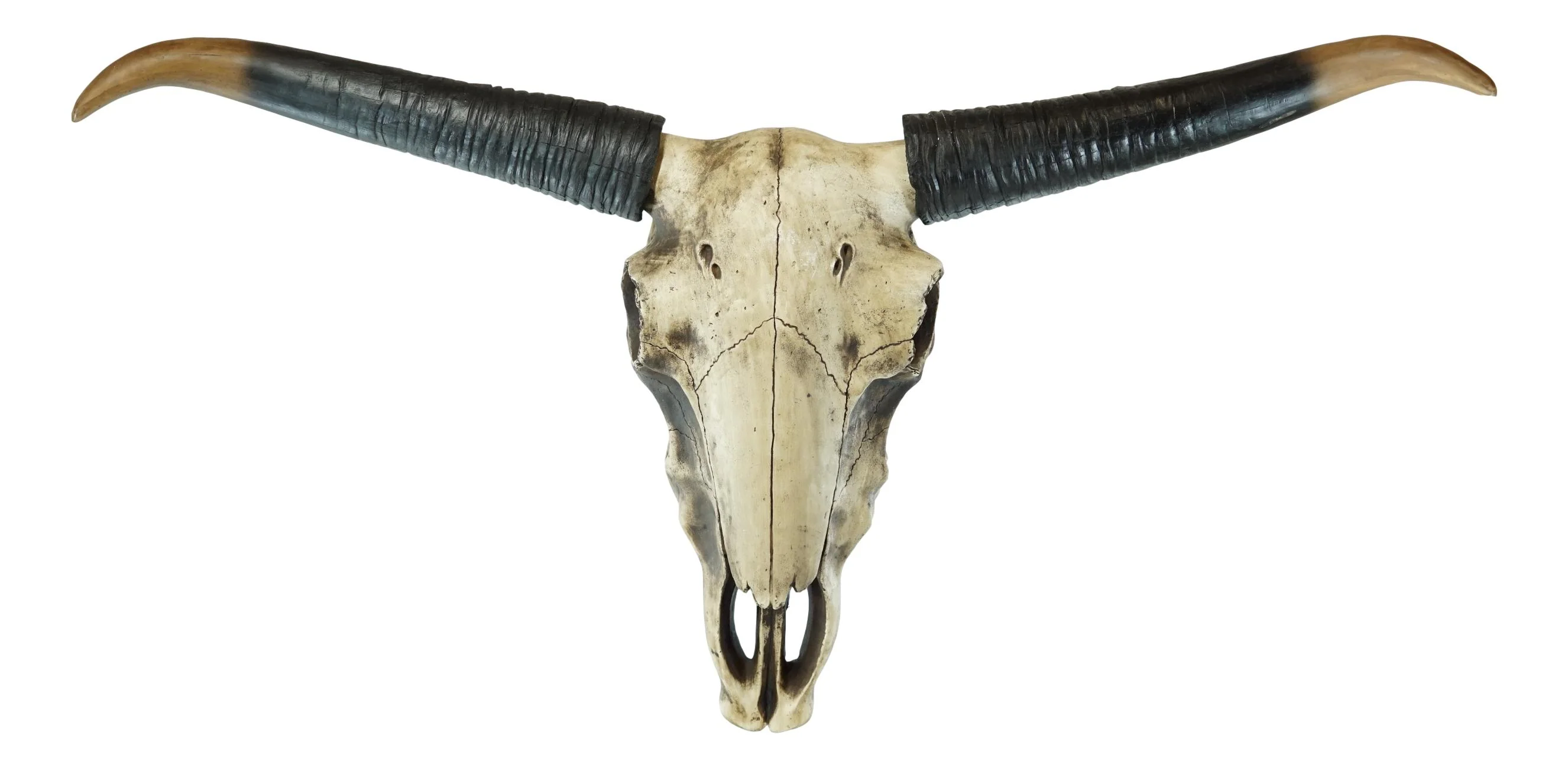 Western Rustic Large 38"Wide Longhorn Steer Cow Skull Wall Head Hanging Plaque - Image 2