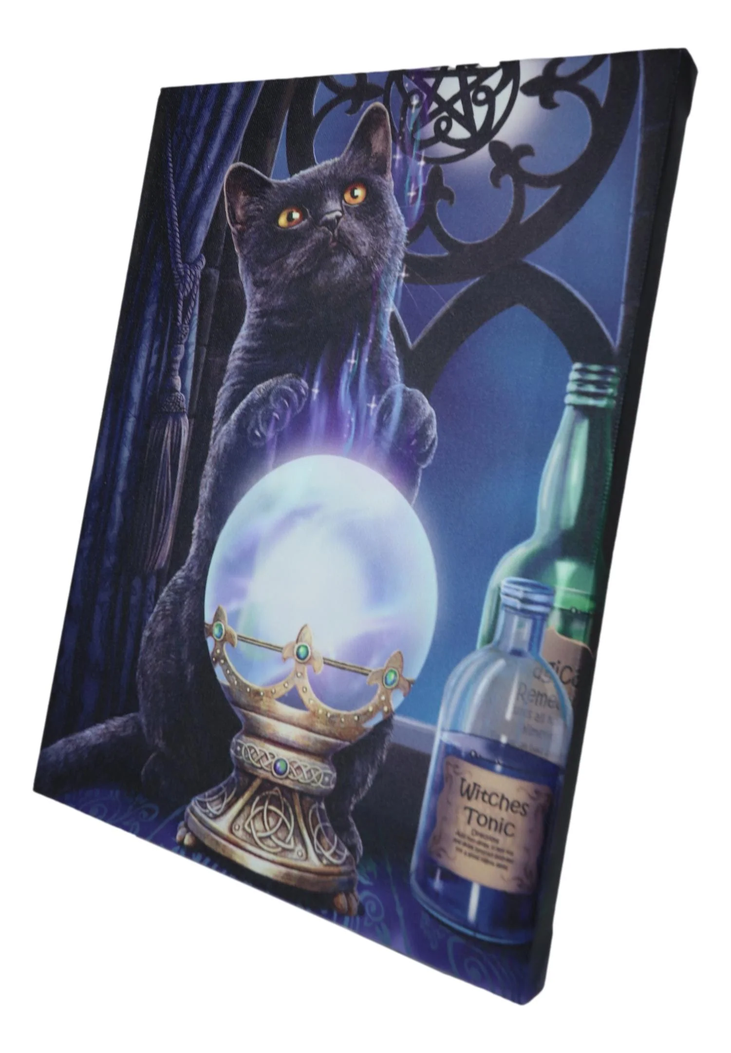 Wicca Witches Apprentice Black Cat By Gazing Ball Wood Framed Canvas Wall Decor - Image 2
