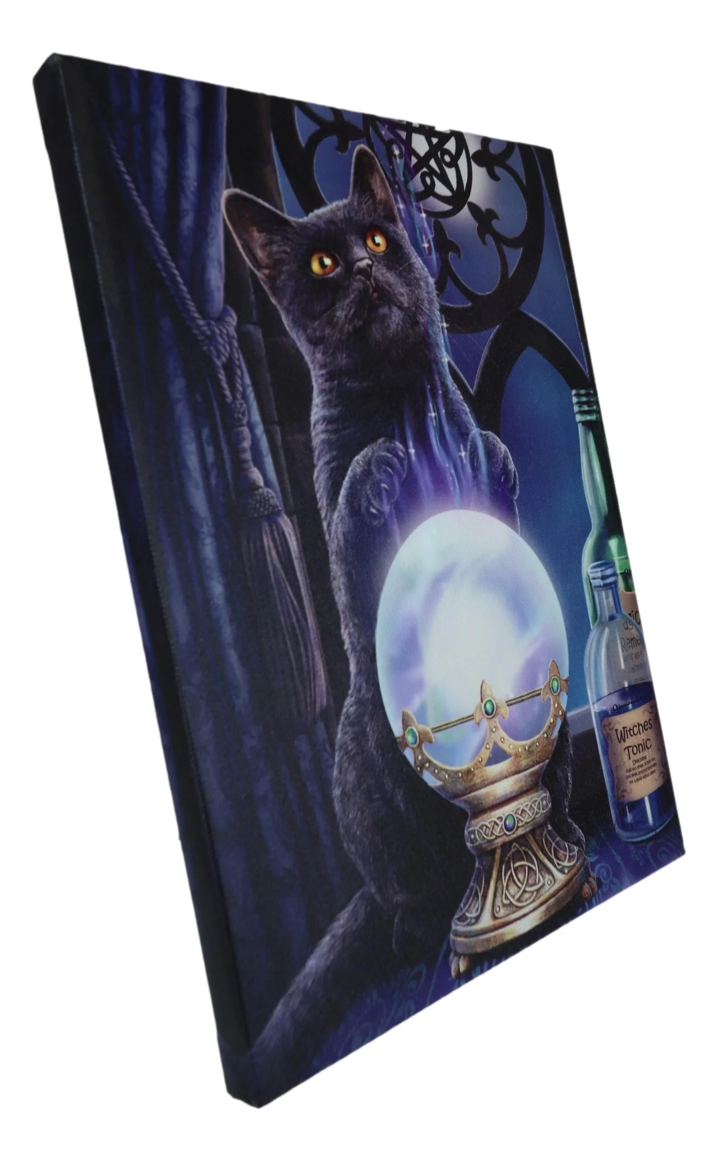 Wicca Witches Apprentice Black Cat By Gazing Ball Wood Framed Canvas Wall Decor - Image 3