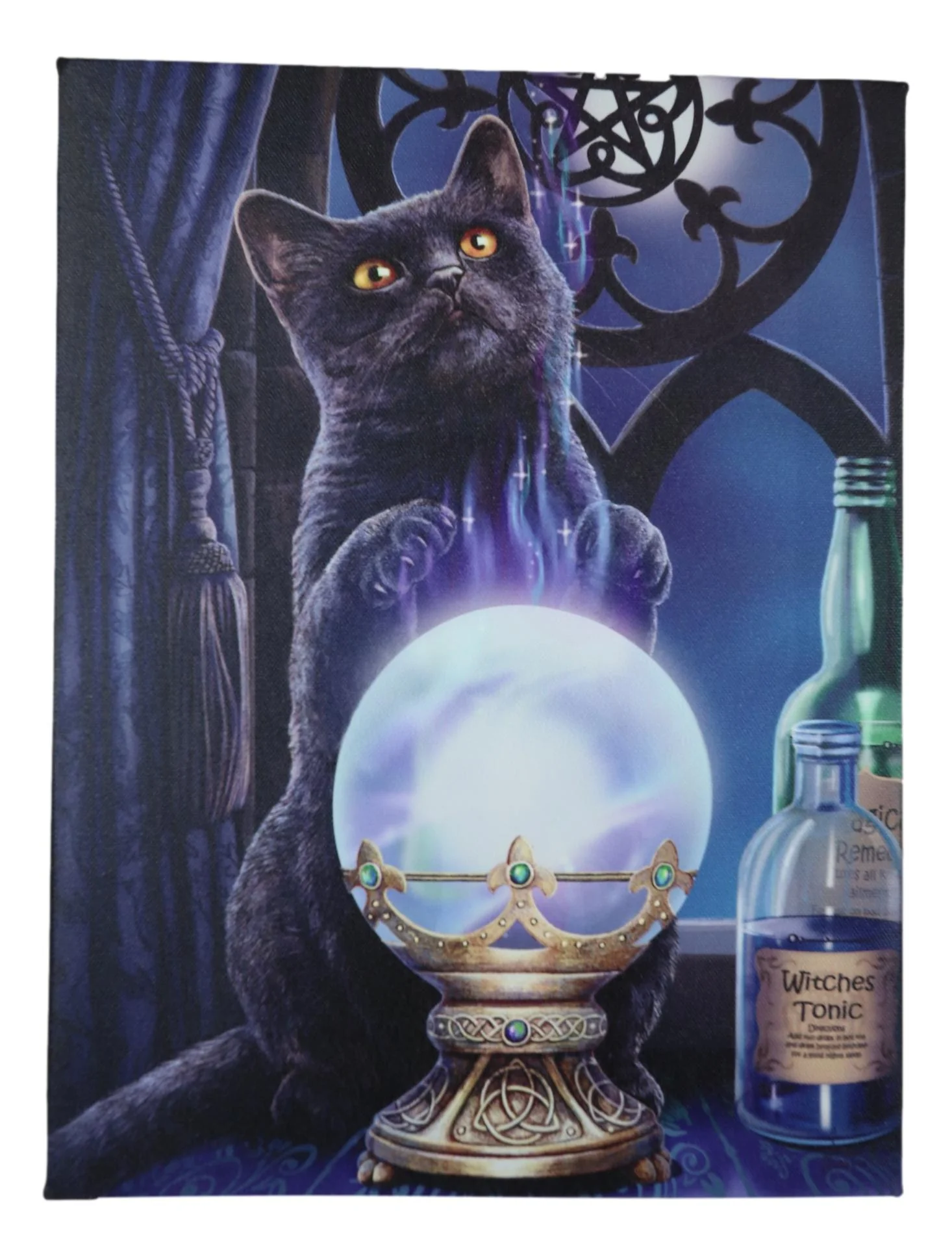 Wicca Witches Apprentice Black Cat By Gazing Ball Wood Framed Canvas Wall Decor - Image 5