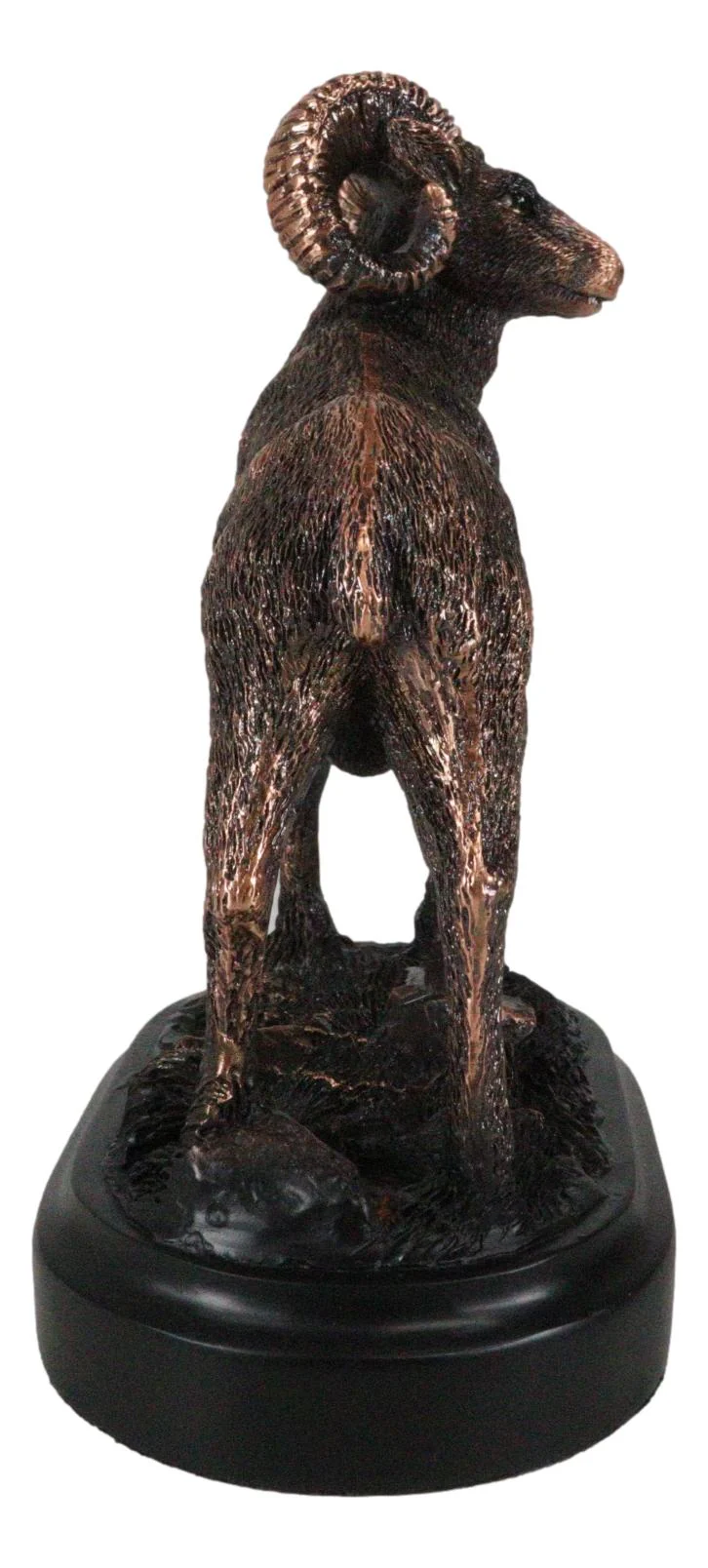 Wildlife Animal Taxidermy Bighorn Sheep Ram On Grassland Figurine With Base - Image 4