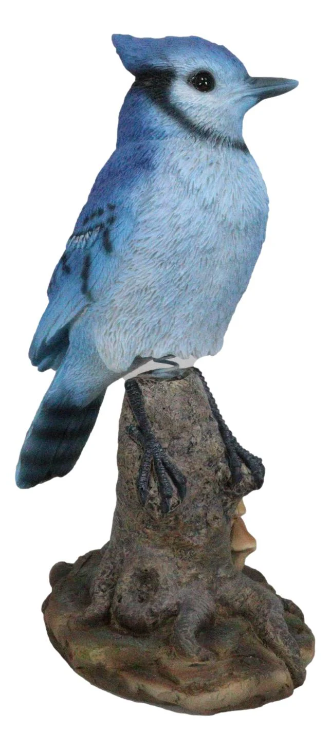 Wildlife Blue Jay Passerine Bird Perching on Tree Stump Spring Bouncing Figurine - Image 2