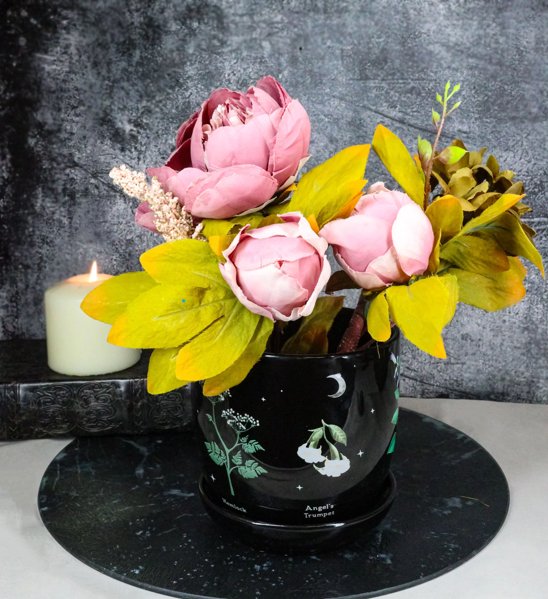 Witchcraft Magic Dark Forest Poisonous Plants Ceramic Planter Pot W/ Saucer Set - Image 10