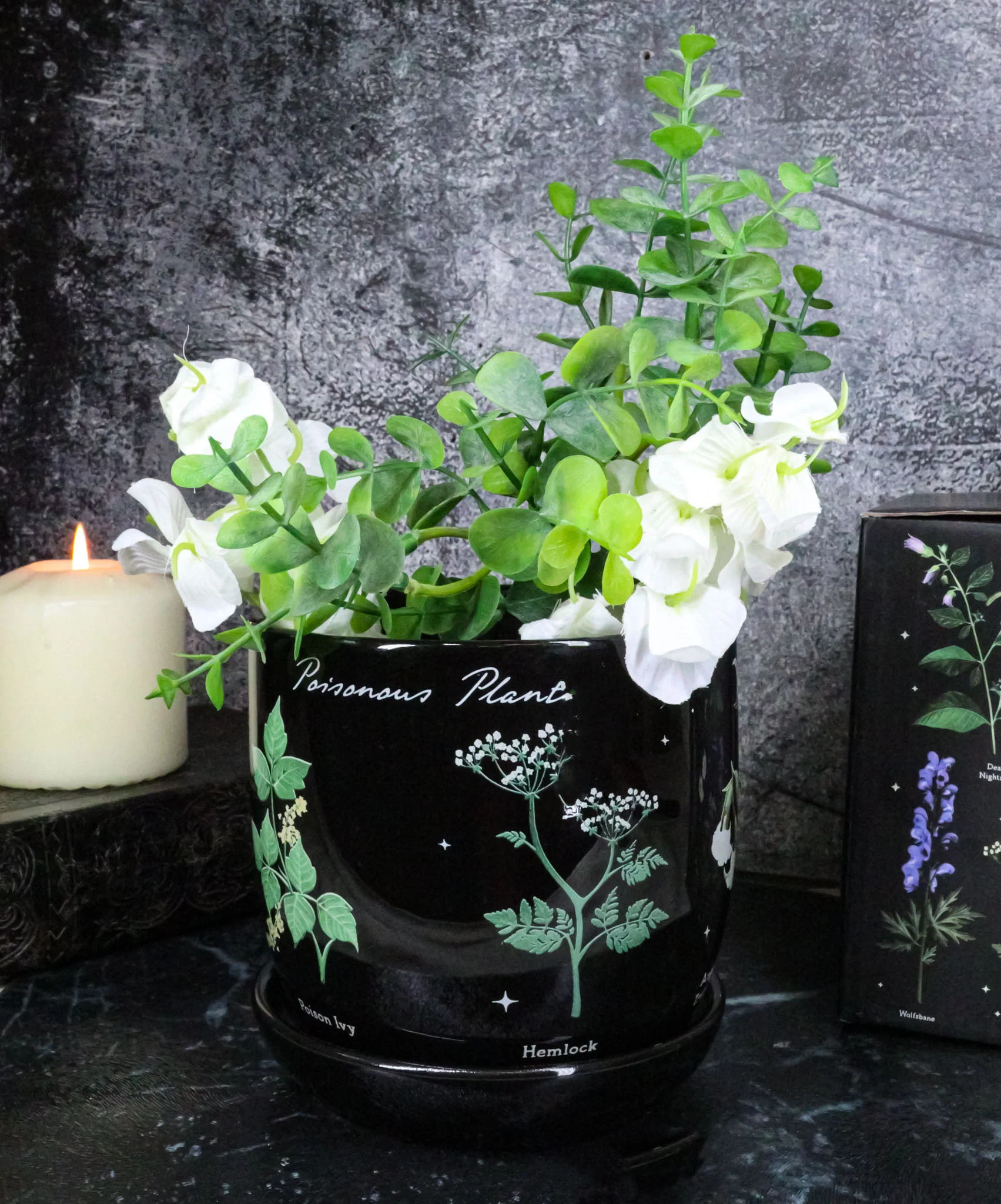 Witchcraft Magic Dark Forest Poisonous Plants Ceramic Planter Pot W/ Saucer Set - Image 11