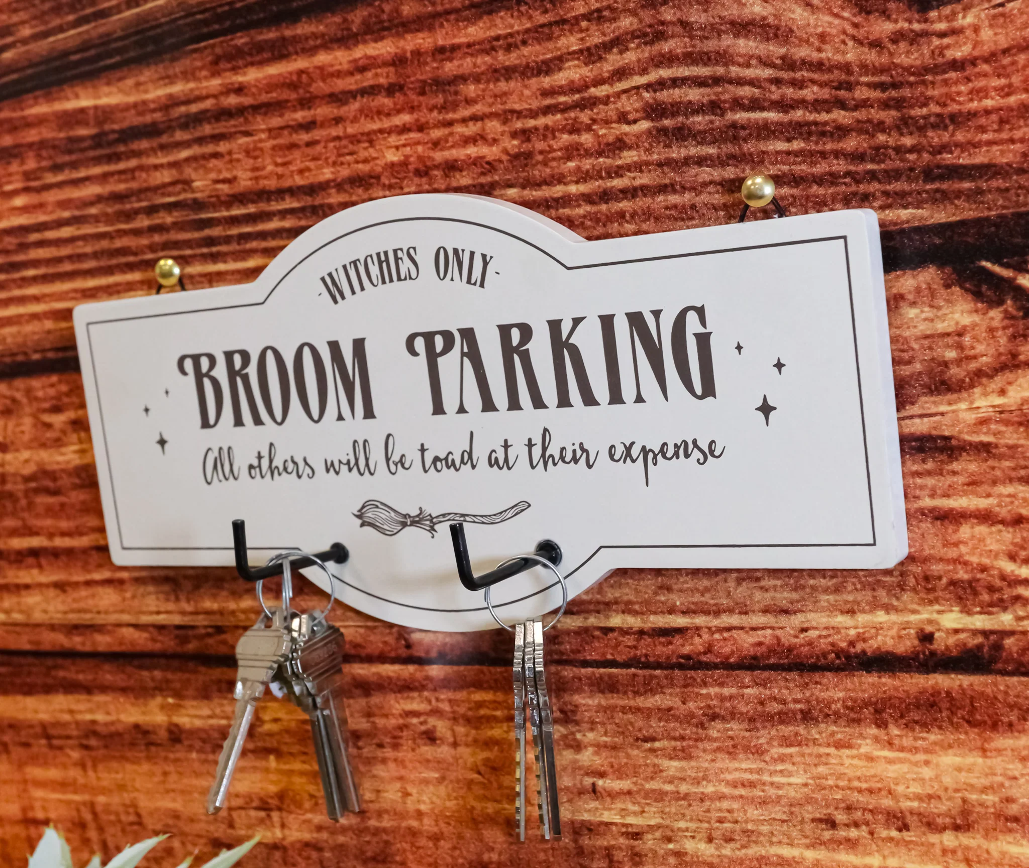 Witches Only Broom Parking All Others Will Be Toad Wall Sign With Coat Hooks - Image 10
