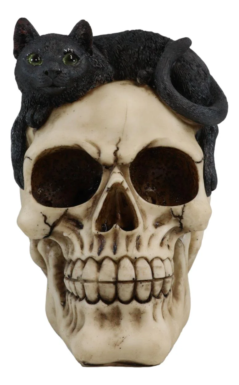 Ebros Witching Hour Black Mystical Cat Perching On Skull Macabre Figurine - Image 3